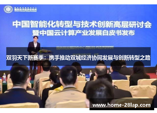双羽天下新赛季：携手推动双城经济协同发展与创新转型之路