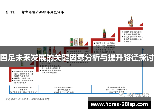 国足未来发展的关键因素分析与提升路径探讨